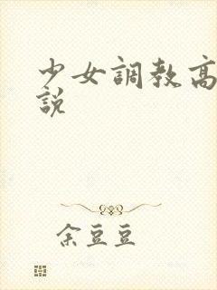 少女调教高h小说