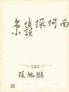 名侦探柯南之h小说封面