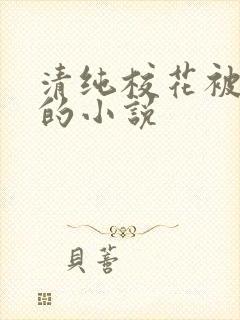 清纯校花被调教的小说