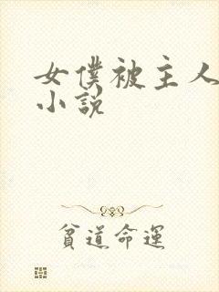 女仆被主人调教小说