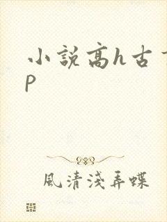 小说高h古言np