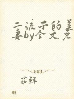 二流子的美貌娇妻by全文免费阅读小说封面