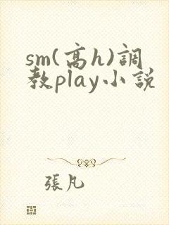 sm(高h)调教play小说