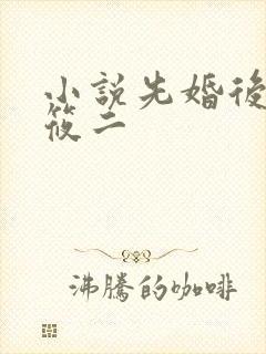 小说先婚后爱梦筱二