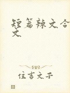 短篇辣文合集h文