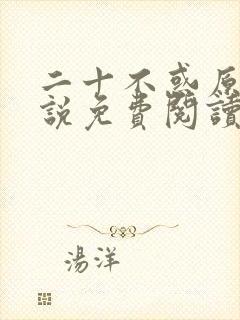 二十不惑原著小说免费阅读封面