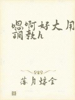 嗯啊好大用力吸调教h