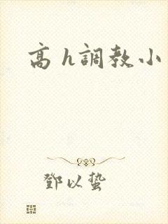 高 h调教小说封面