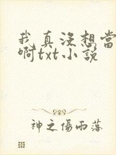 我真没想当皇帝啊txt小说