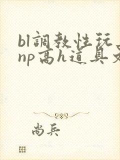 bl调教性玩具np高h道具文