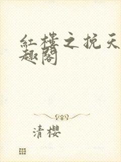 红楼之挽天倾笔趣阁