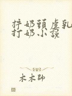 拧奶头虐乳扇奶打奶小说封面