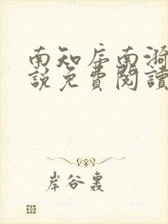 南知序南漪的小说免费阅读全文封面