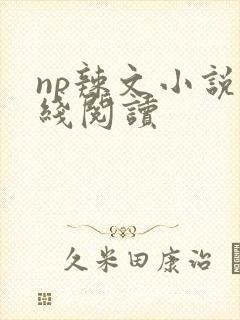 np辣文小说在线阅读