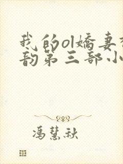 我的ol娇妻柳韵第三部小说