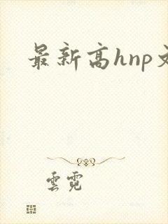 最新高hnp文封面