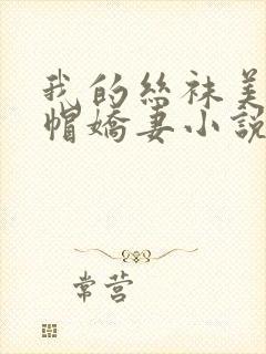 我的丝袜美艳绿帽娇妻小说封面