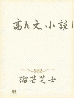 高h文小说网