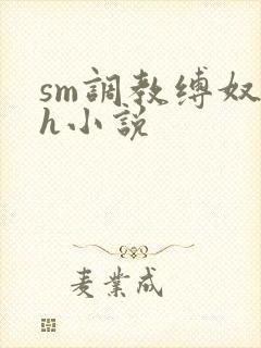 sm调教缚奴高h小说