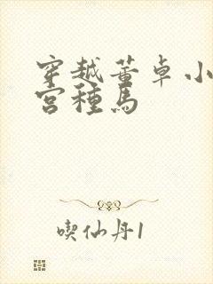 穿越董卓小说后宫种马