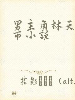 男主角林天的都市小说