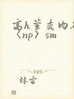 高h荤爽肉欲文〈np〉sm
