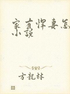 家有悍妻怎么破小说