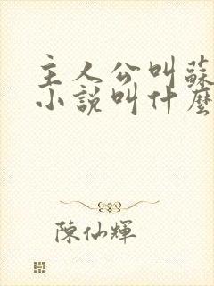 主人公叫苏柔的小说叫什么