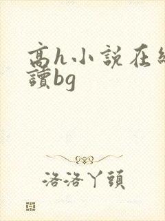 高h小说在线阅读bg