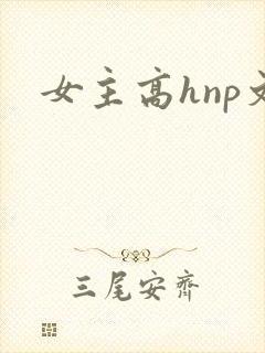 女主高hnp文