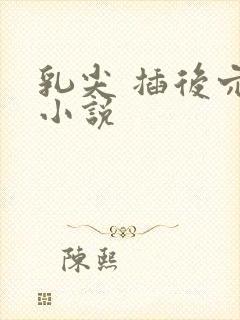 乳尖 插后穴 小说封面