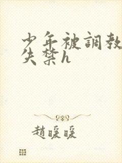 少年被调教爽到失禁h封面