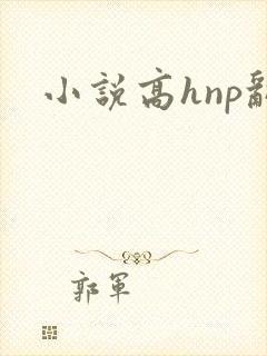 小说高hnp乱