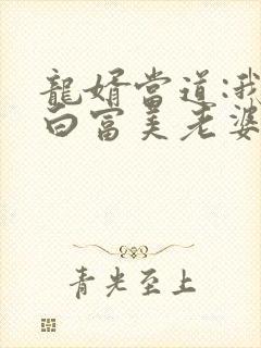 龙婿当道:我的白富美老婆小说