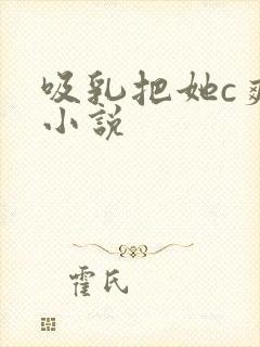 吸乳把她c爽了小说