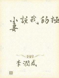 小说我的极品娇妻
