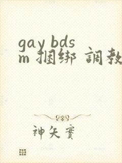 gay bdsm 捆绑 调教 男奴