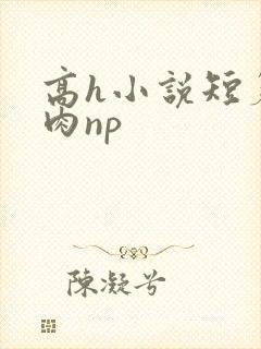 高h小说短篇纯肉np