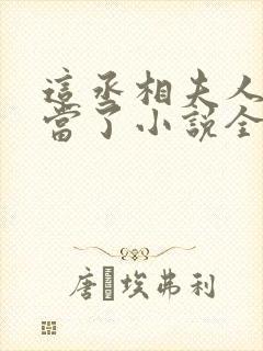 这丞相夫人我不当了小说全文免费阅读