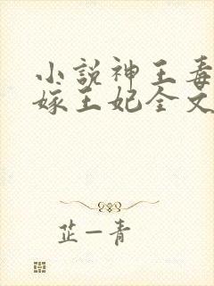小说神王毒宠二嫁王妃全文
