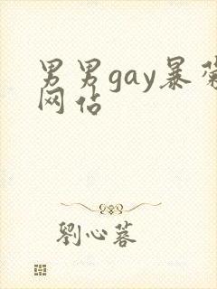 男男gay暴菊网站