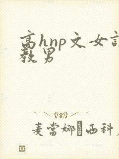 高hnp文女调教男