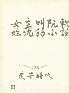 女主叫阮软男主姓沈的小说封面