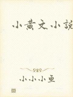 小黄文小说封面