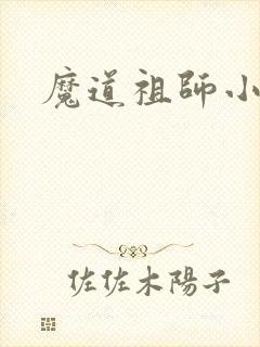 魔道祖师小说封面
