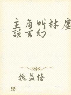 主角叫林尘的小说玄幻封面