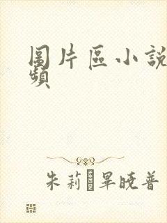 图片区小说区视频