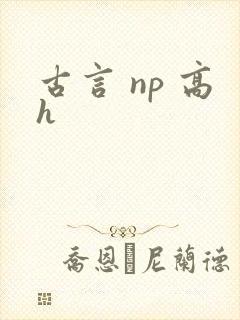 古言 np 高h