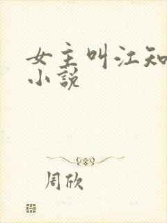 女主叫江知意的小说