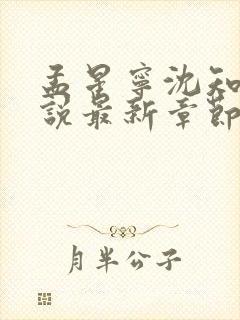 孟星宁沈知聿小说最新章节免费阅读封面